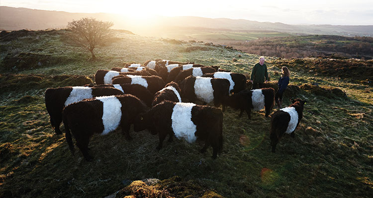 farming