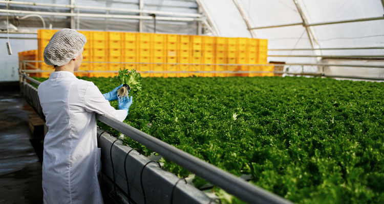 Inside the important role food science must play in upcoming food and agriculture legislation Inside the important role food science must play in upcoming food and agriculture legislation