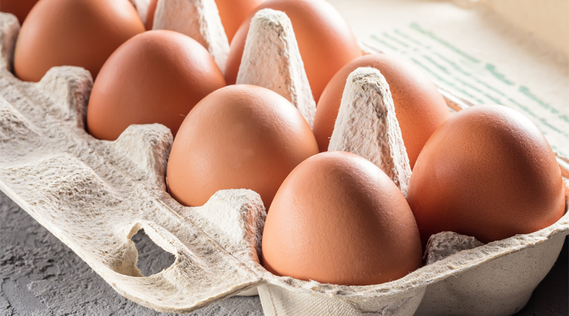 A Bird Flu Crisis: How Poultry Shortages are Driving Egg Prices Up Eggs in egg box to support prices increase article